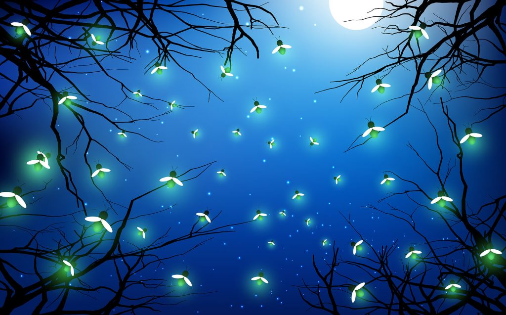 Fireflies in the night sky